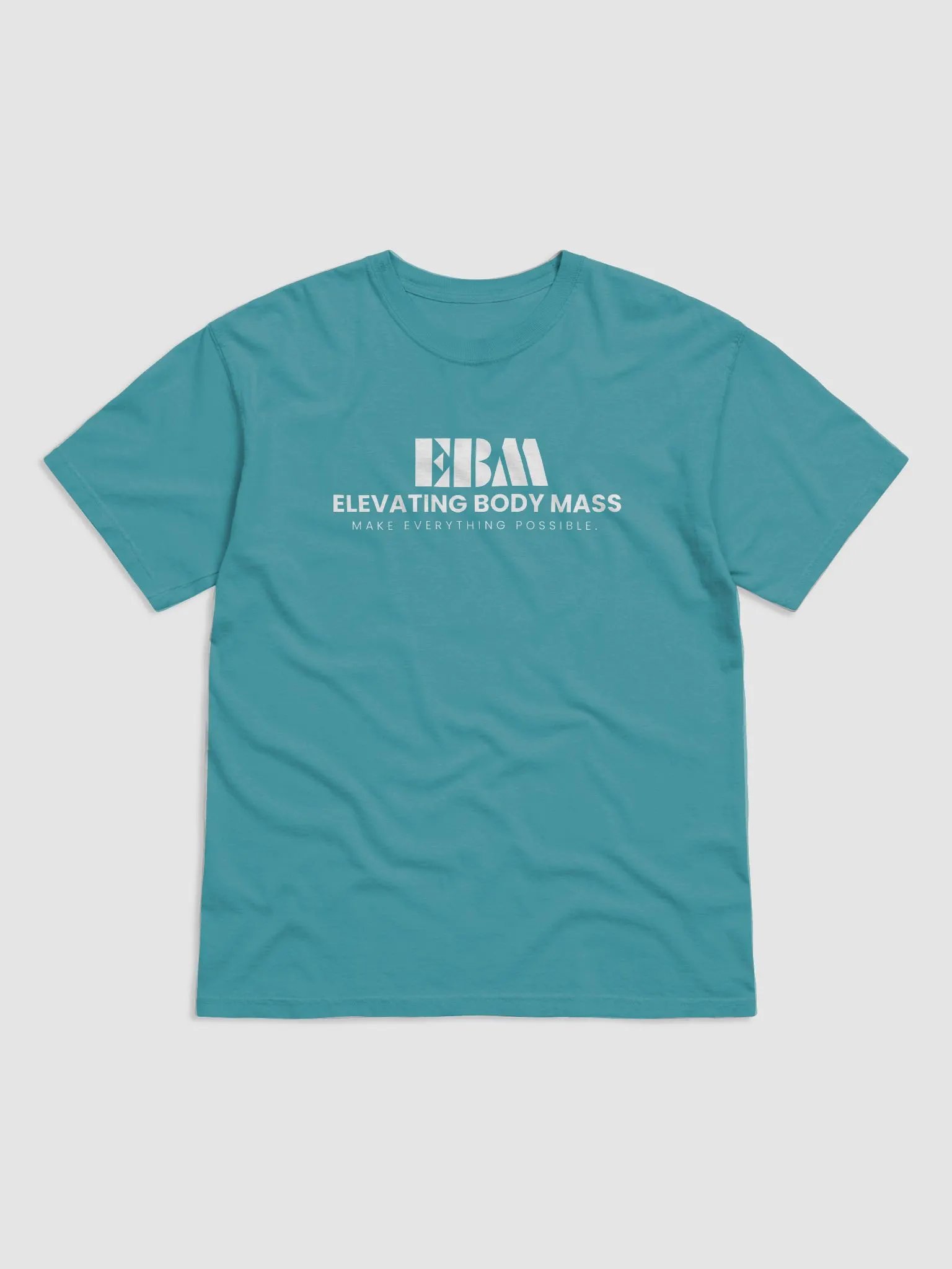 EBM Garment Dyed Heavyweight T-Shirt (White Logo) product image (29)