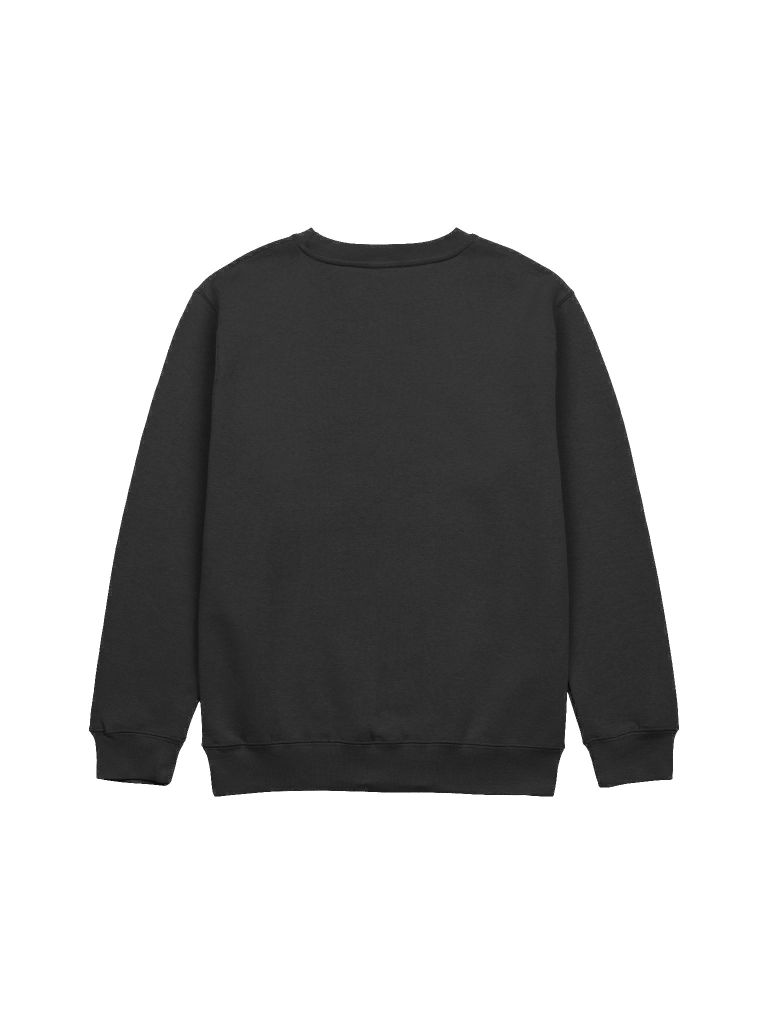 Crew Neck Sweater product image (2)