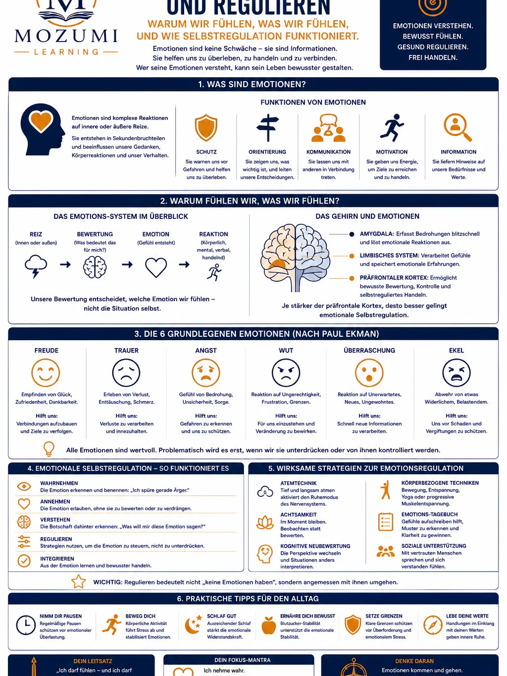 PSYCHOLOGIE - Infografik Nr. 4 (Emotionen verstehen und regulieren) product image (1)