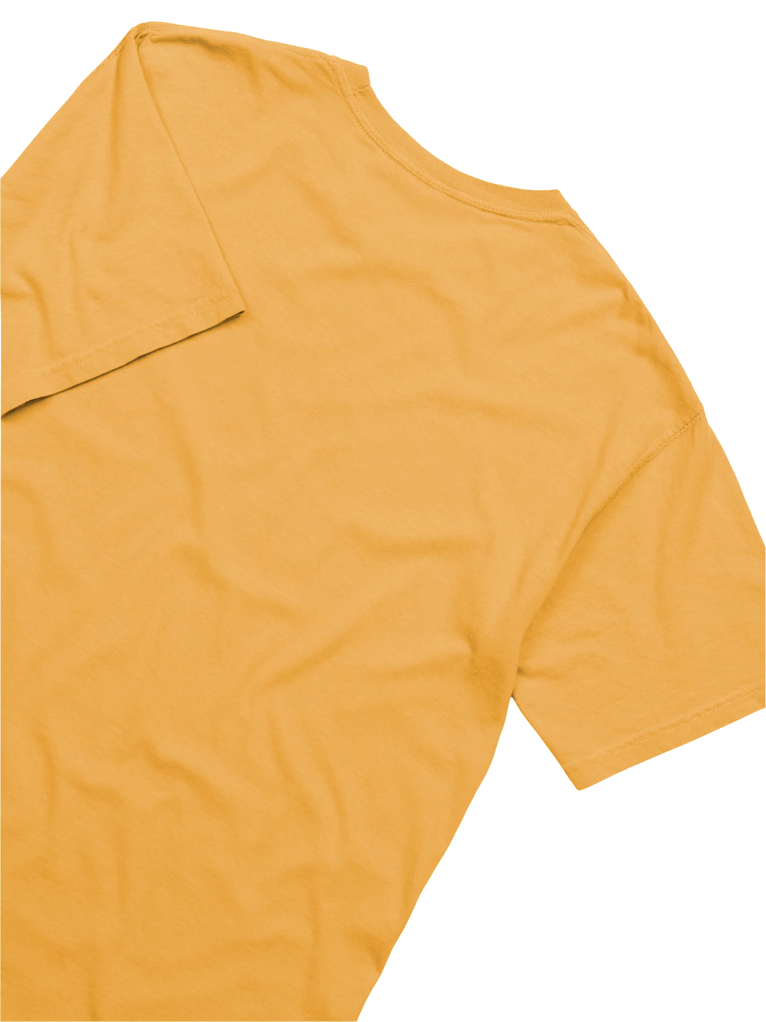 Sex Ed Dept. T-Shirt - Mustard product image (7)