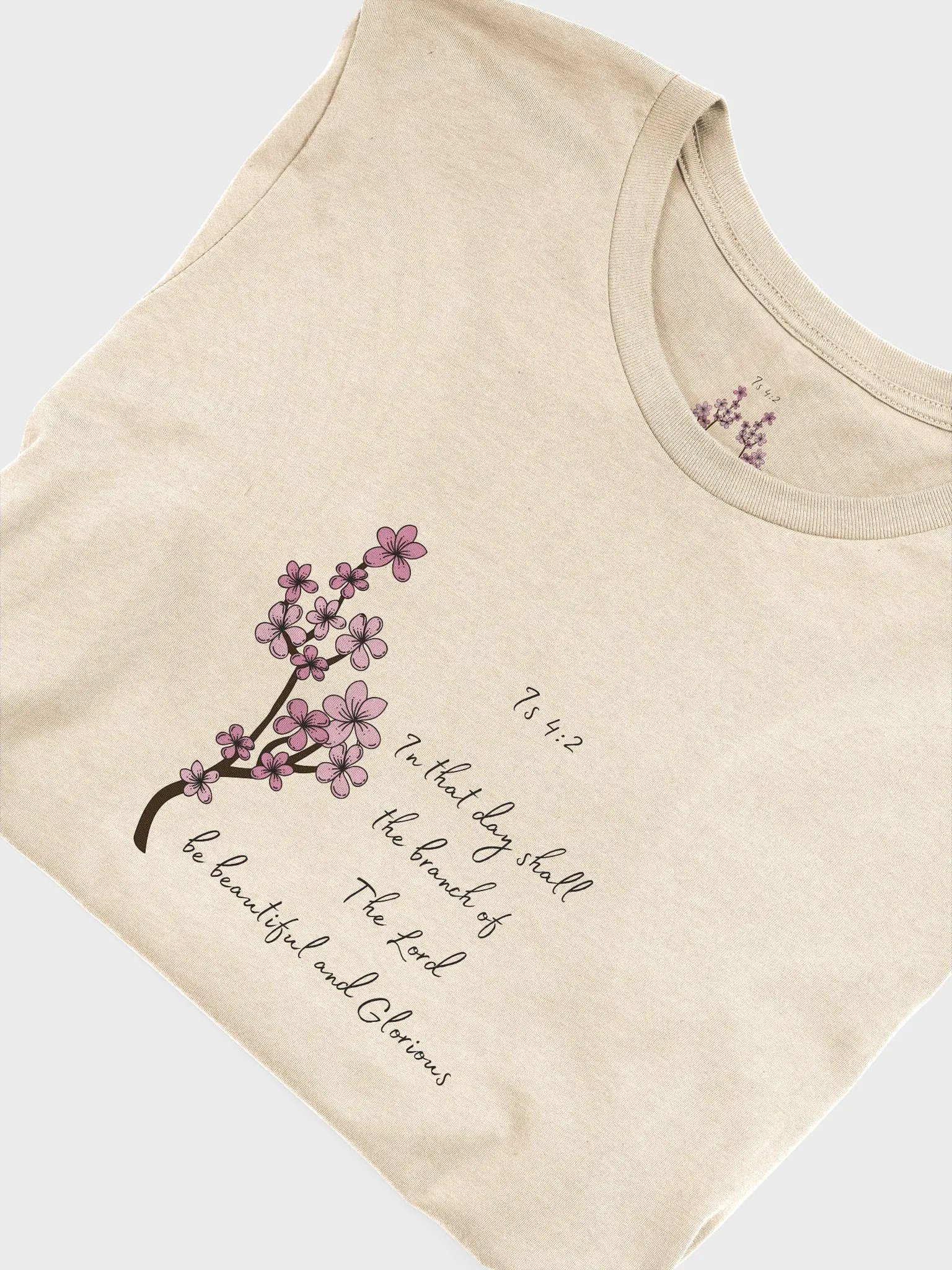 Is 4:2 Bella Soft T-shirt! product image (1)