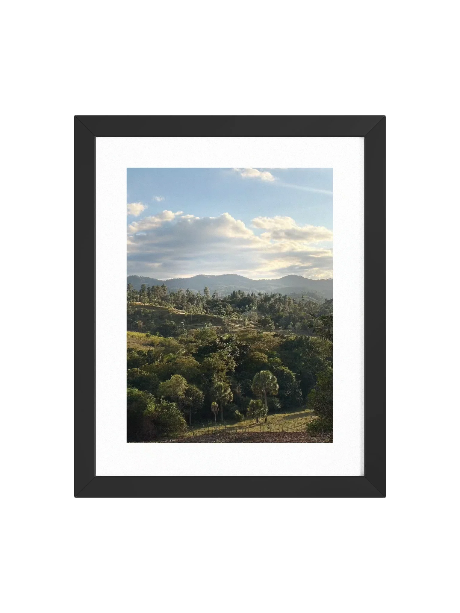 Hills and Palm Tree Framed Art Print product image (3)