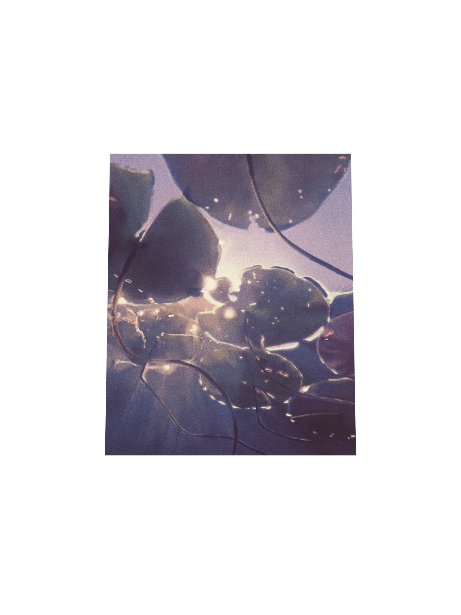 Lily Pads product image (4)