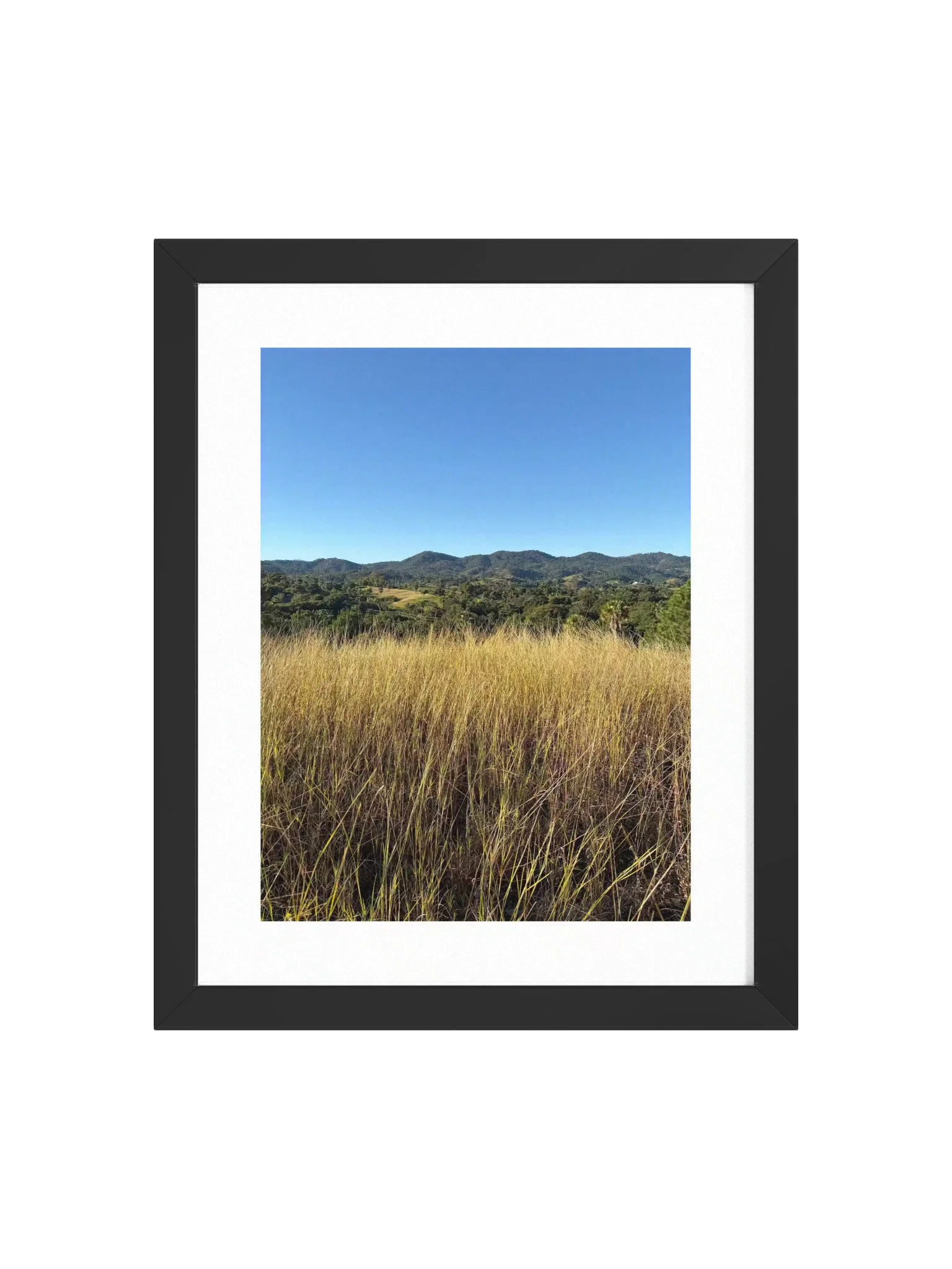 Country Life Framed Art Print product image (1)