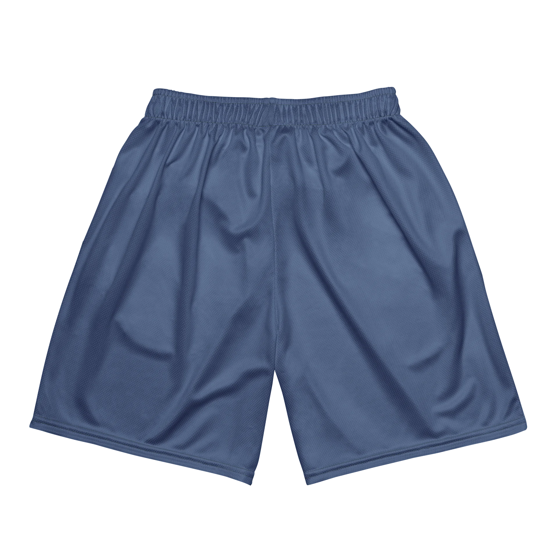SC Mesh Shorts product image (5)