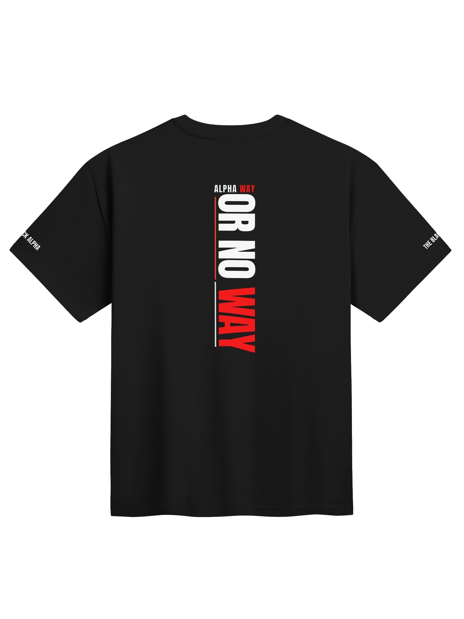 Alpha Way Heavy Tee product image (2)