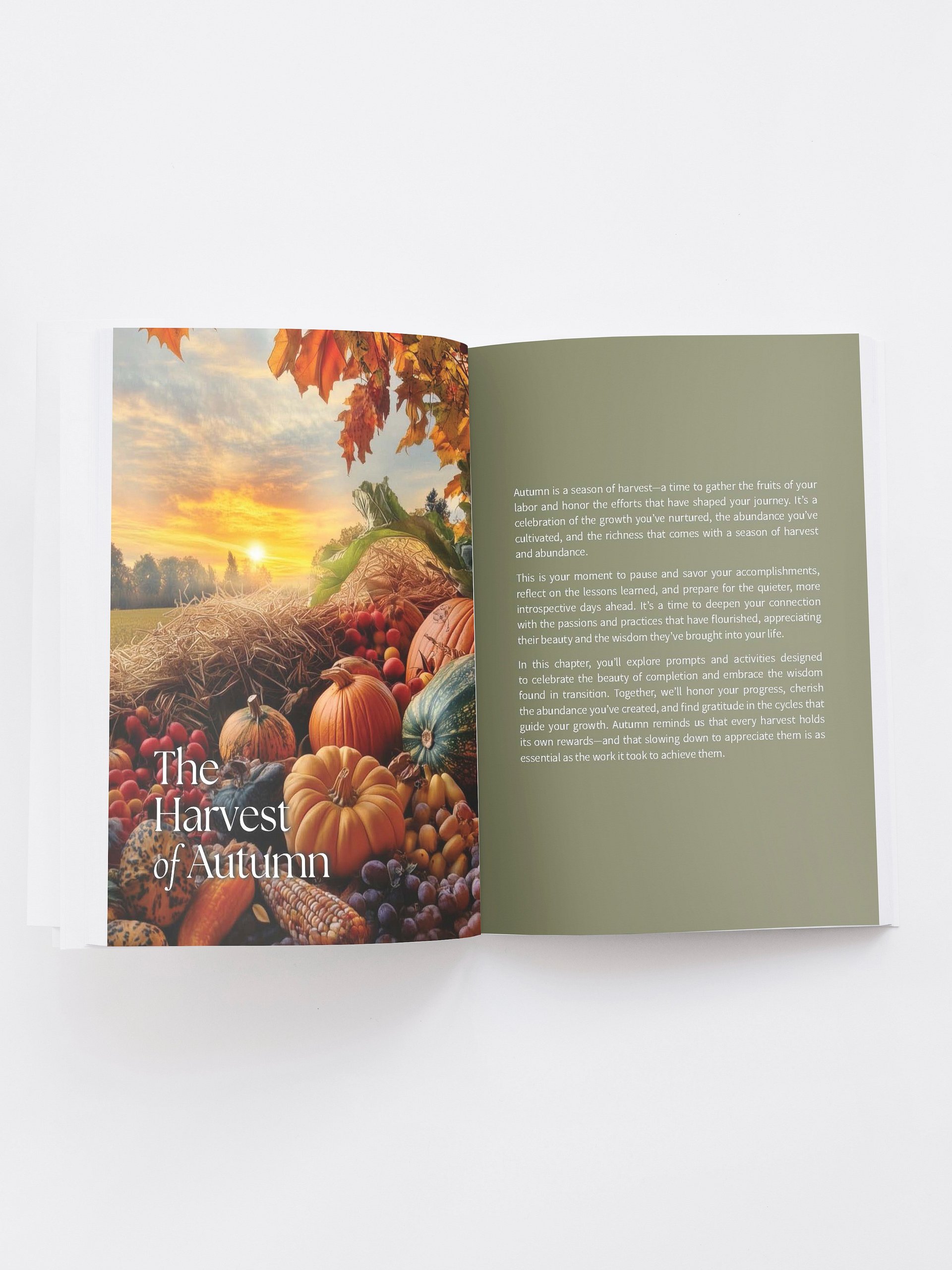The Seasons Within product image (3)