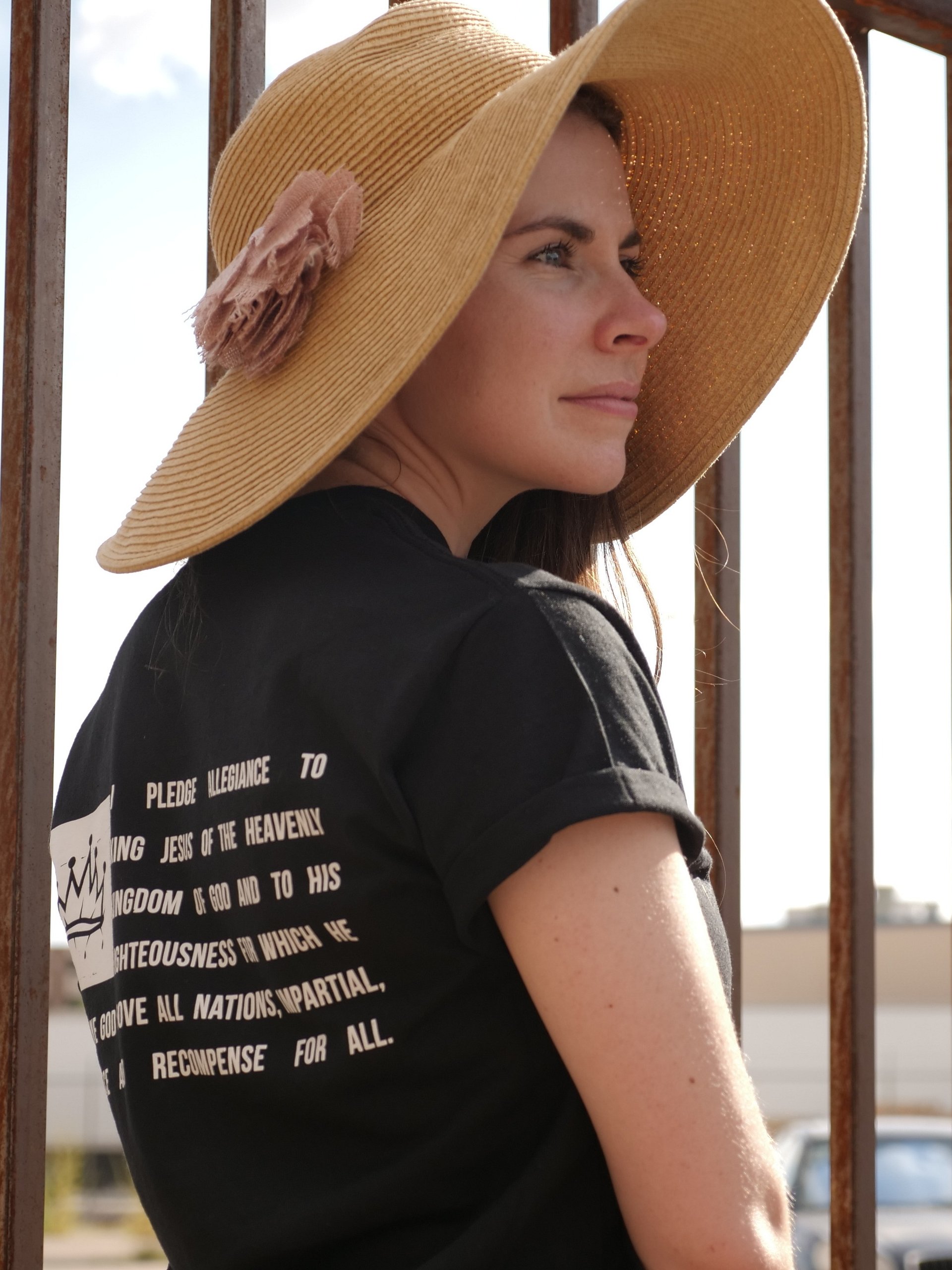 The Pledge Christian T-Shirt – Allegiance to King Jesus and His Kingdom product image (3)