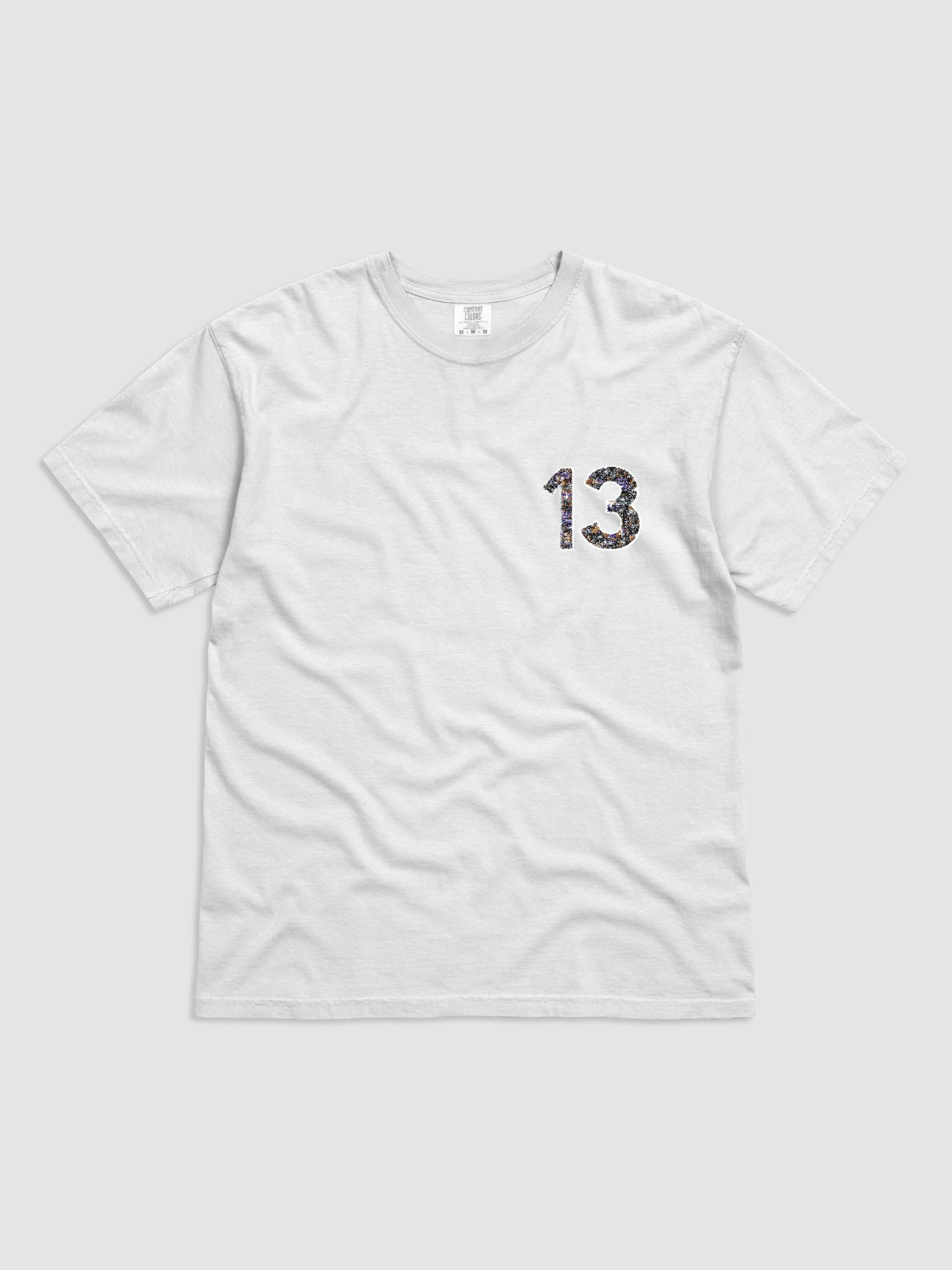 13 (EM) product image (2)