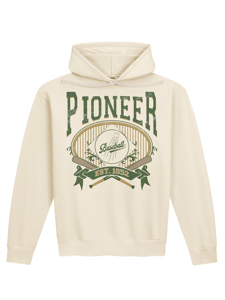 Unisex Comfort Colors Hoodie product image (1)