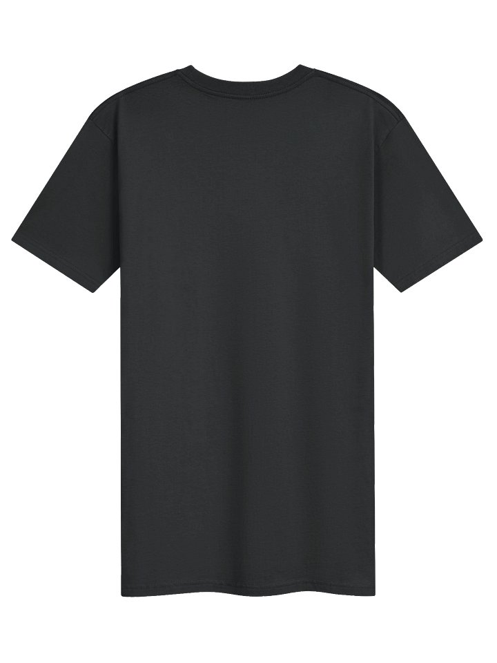 The Golden Ticket Heavyweight Tee product image (2)