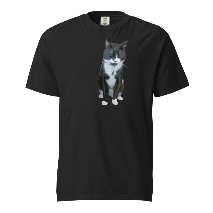 Whisker Comfort: Garment-Dyed Cat Collar Tee product image (1)