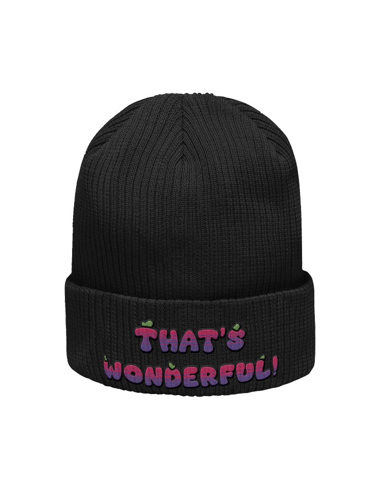 That's wonderful! Beanie product image (1)