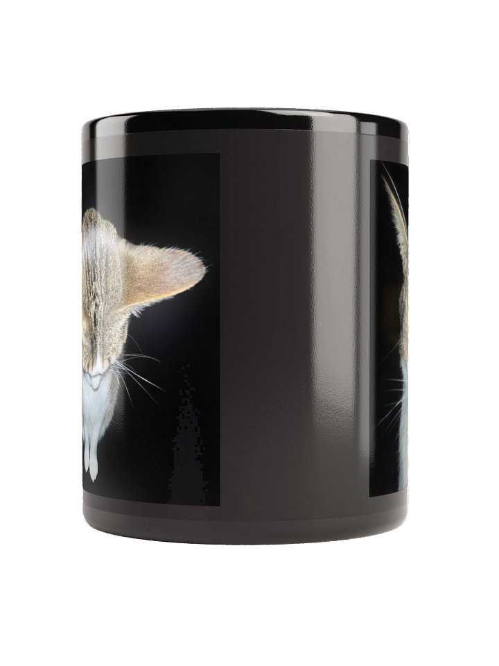 Sassy Plane Drinking Apparatus product image (2)