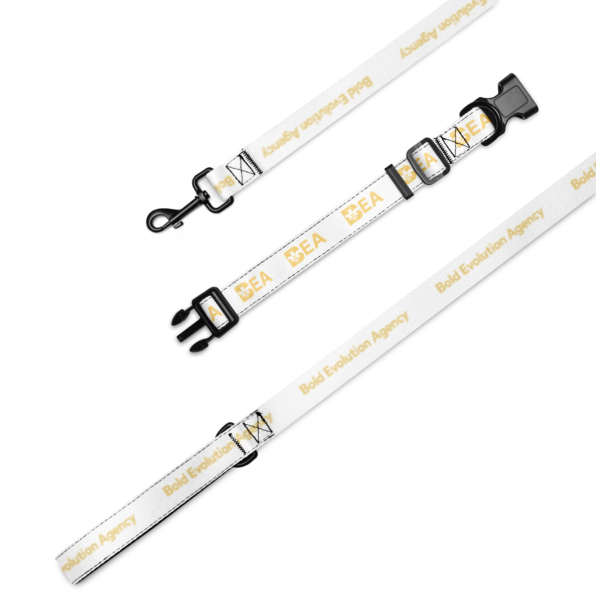Bold Evolution Custom Pet Collar & Leash Set product image (1)