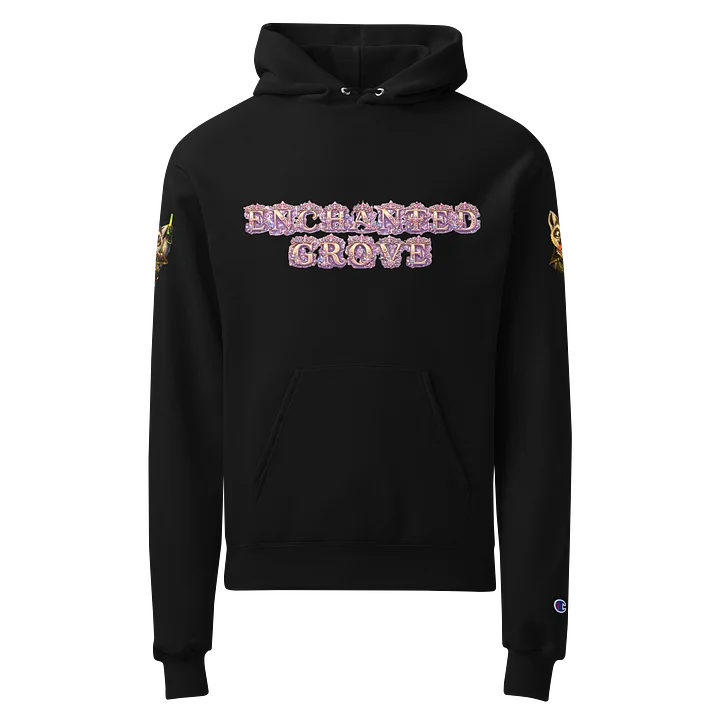 Kingdom Treasurer Champion Hoodie product image (1)