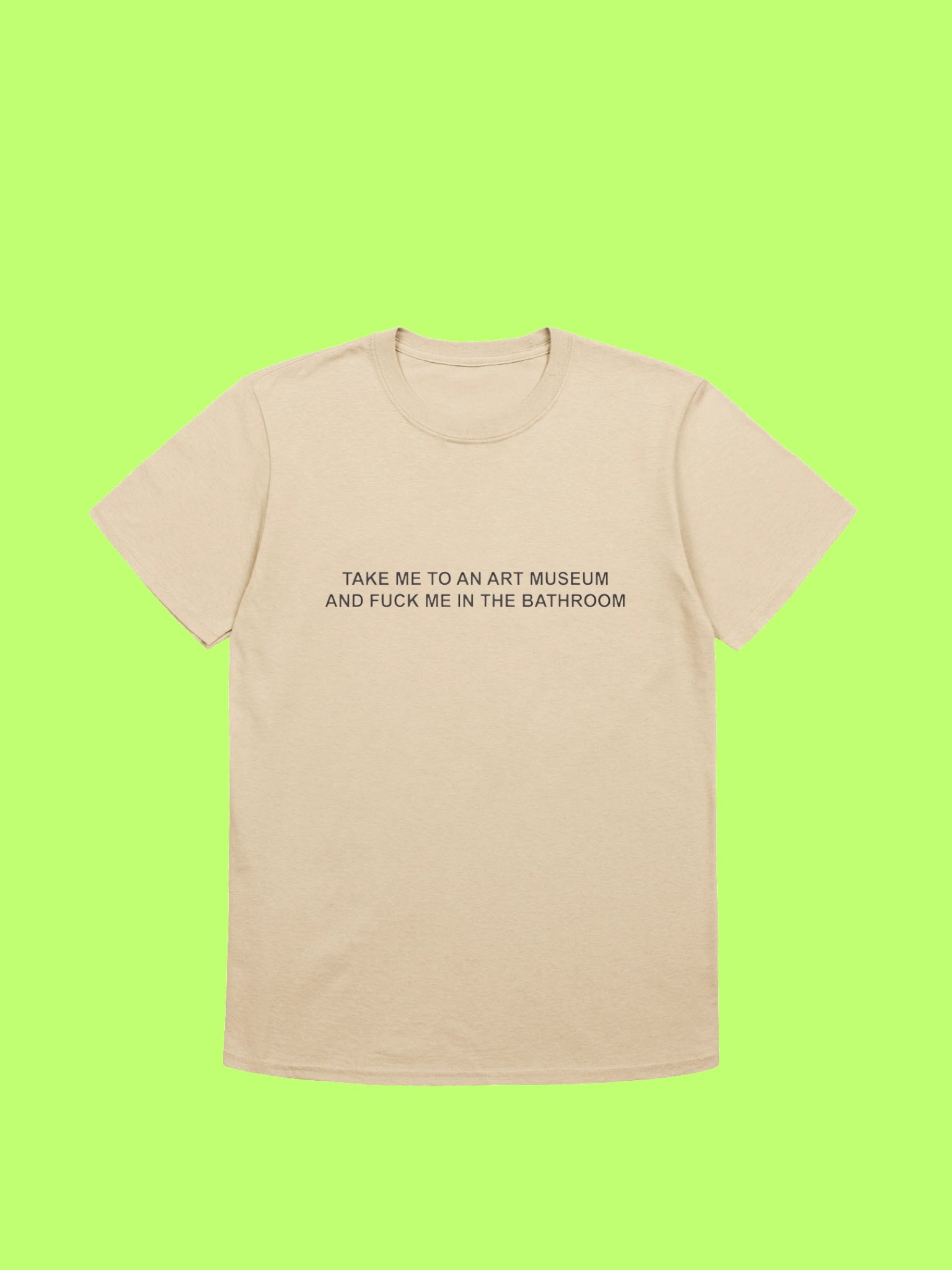 Take Me To An Art Museum And Fuck Me In The Bathroom Shirt product image (170)