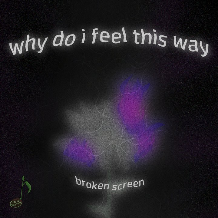 why do i feel this way? product image (1)