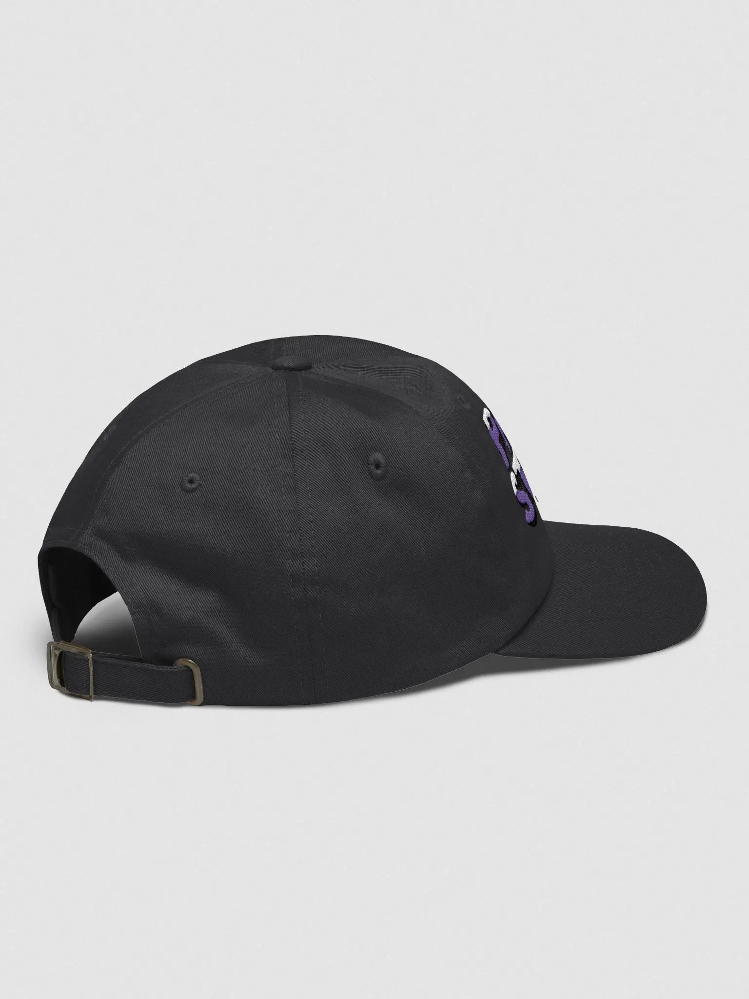 Panzee Studios Cap product image (4)