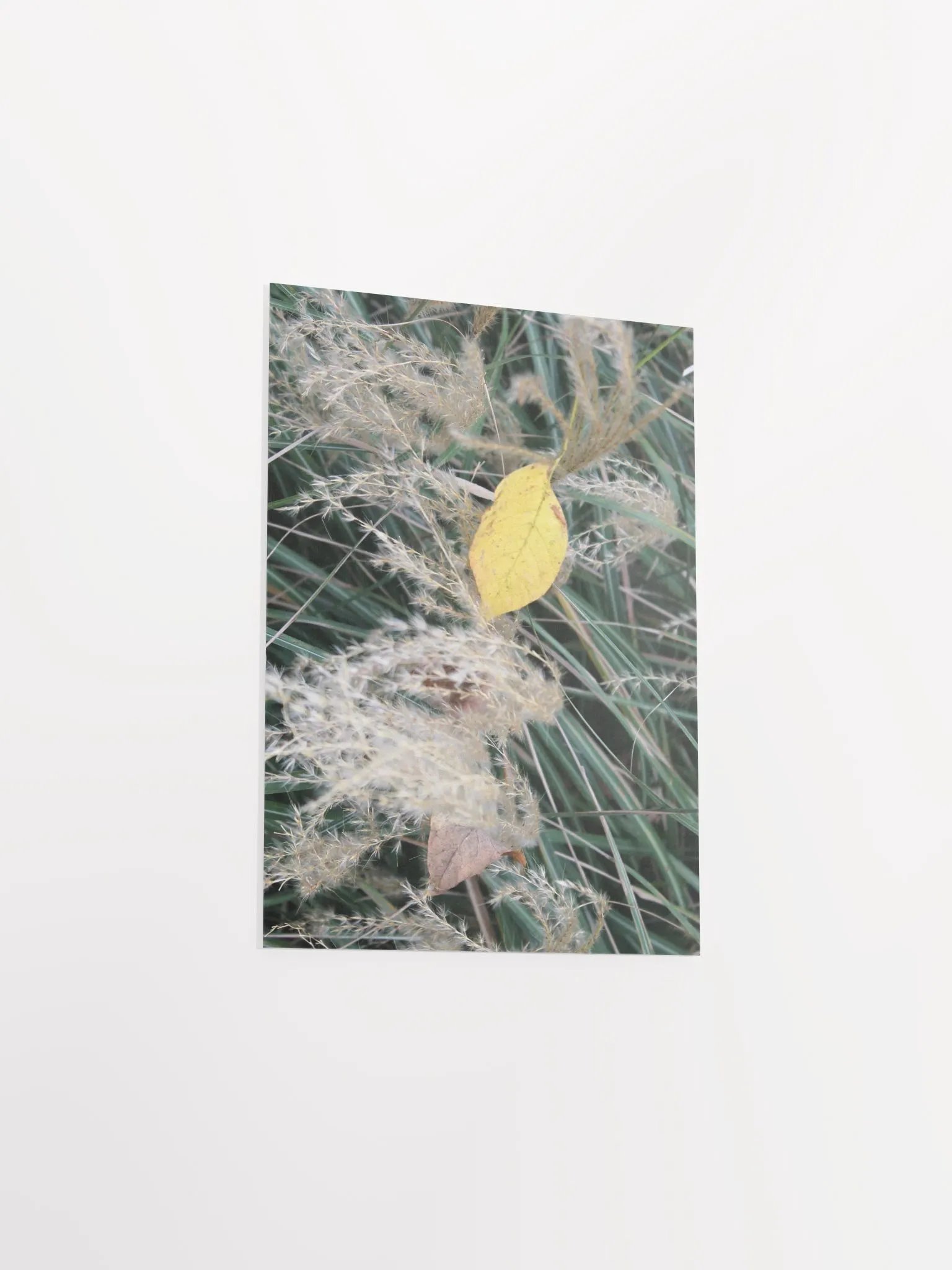 A Study in Flowers 11 product image (29)