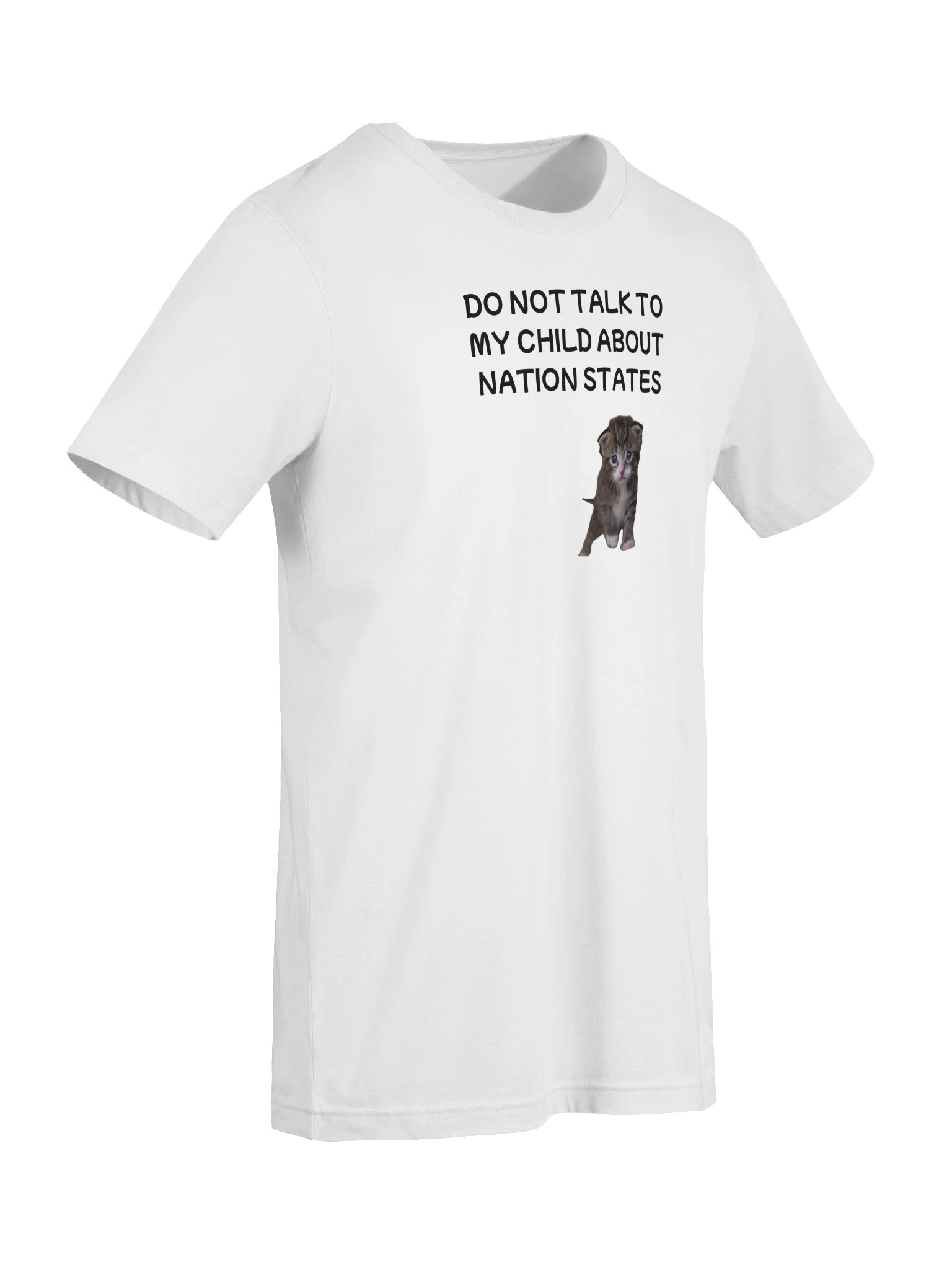 Don't talk to my child about nation states supersoft t-shirt product image (97)