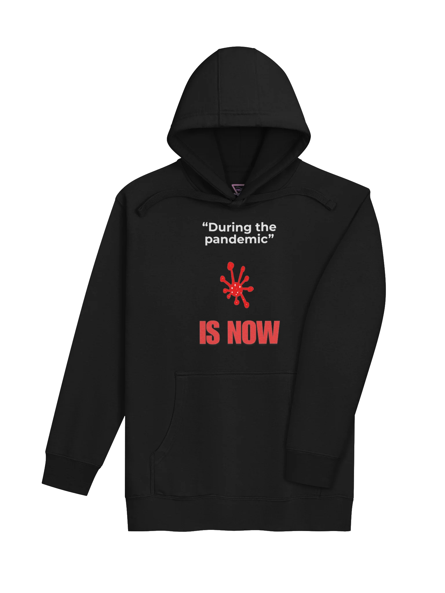 During The Pandemic Is Now hoodie product image (21)