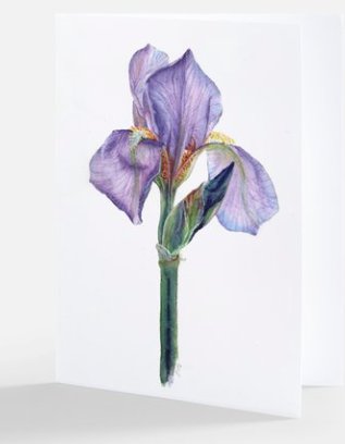 LKI Art Greeting Card - 