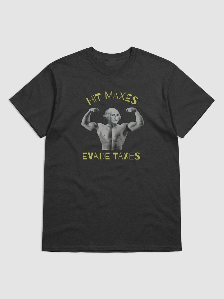 "Hit Maxes, Evade Taxes Shirt – Hilarious T-Shirt for Fitness Lovers" product image (1)