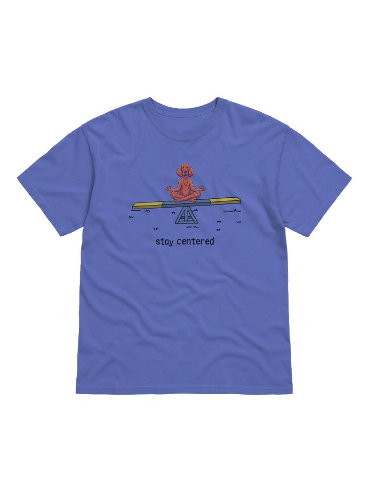 Stay Centered - Irish Setter Tee Shirt product image (1)