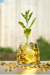 Growth Lab   