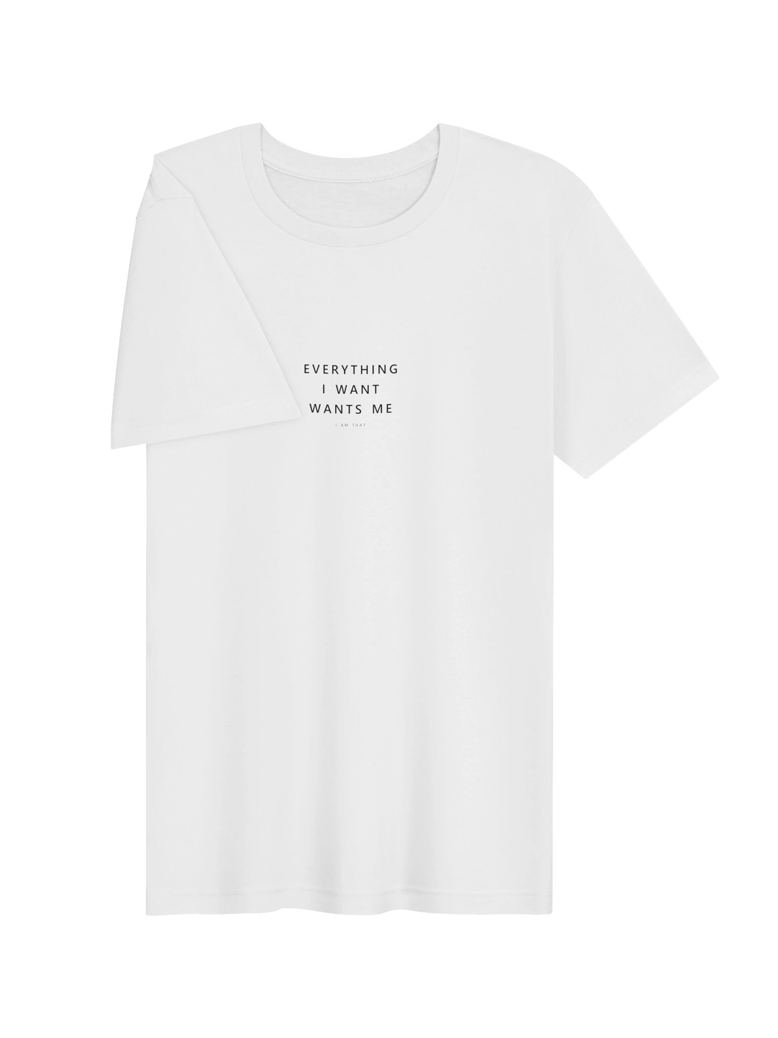 Everything I Want Wants Me Tee product image (13)