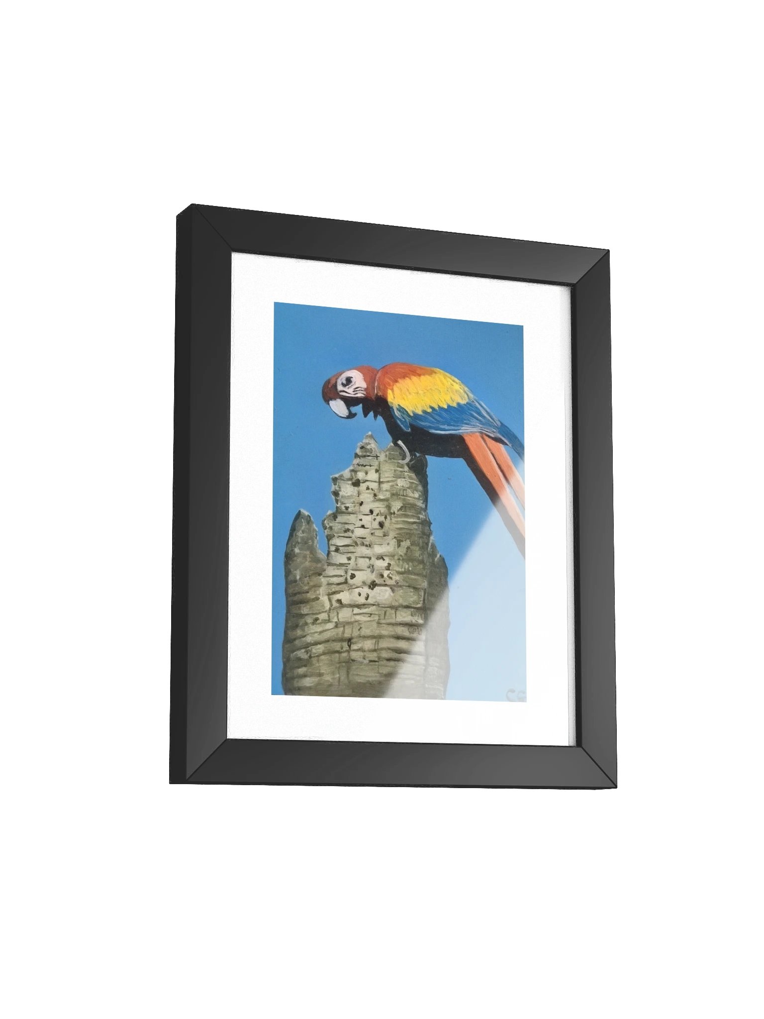 Scarlet Spirit of Playa Blanca Framed Poster product image (4)
