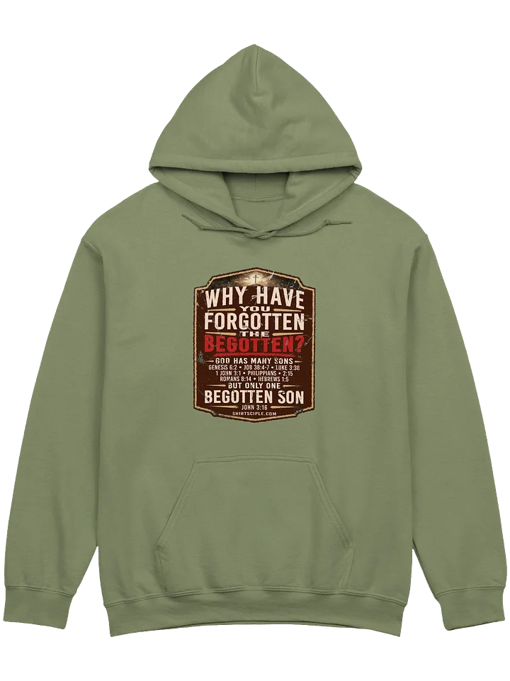 Why Have You Forgotten The Begotten Hoodie product image (1)