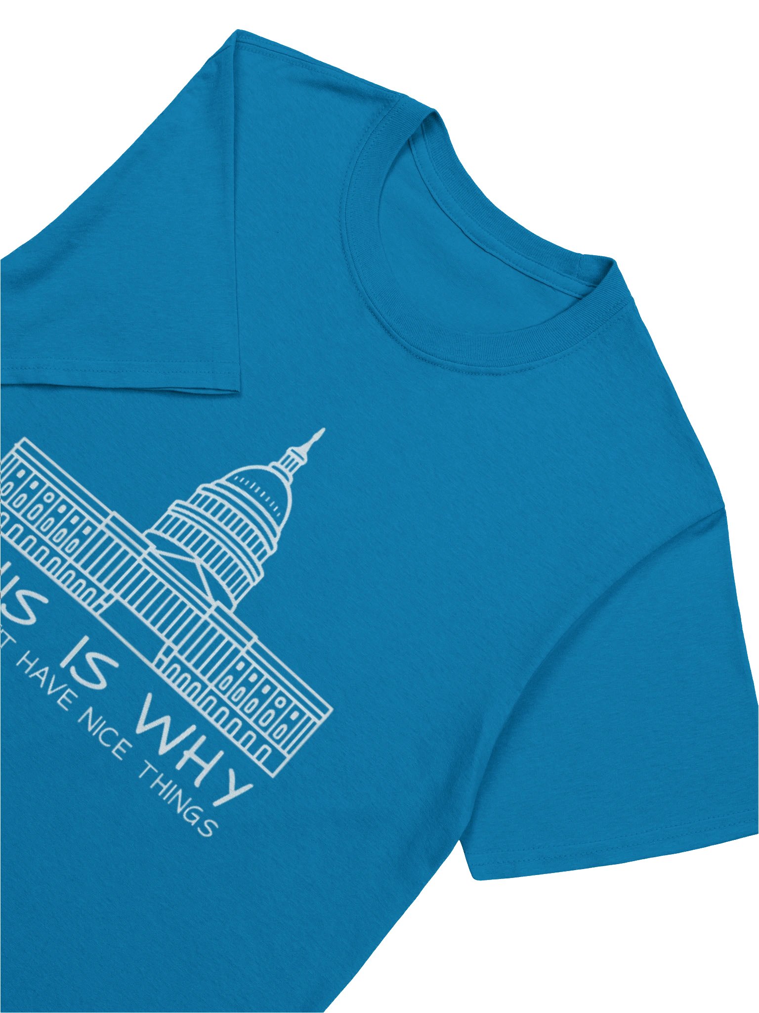 This Is Why We Can’t Have Nice Things T-Shirt product image (6)