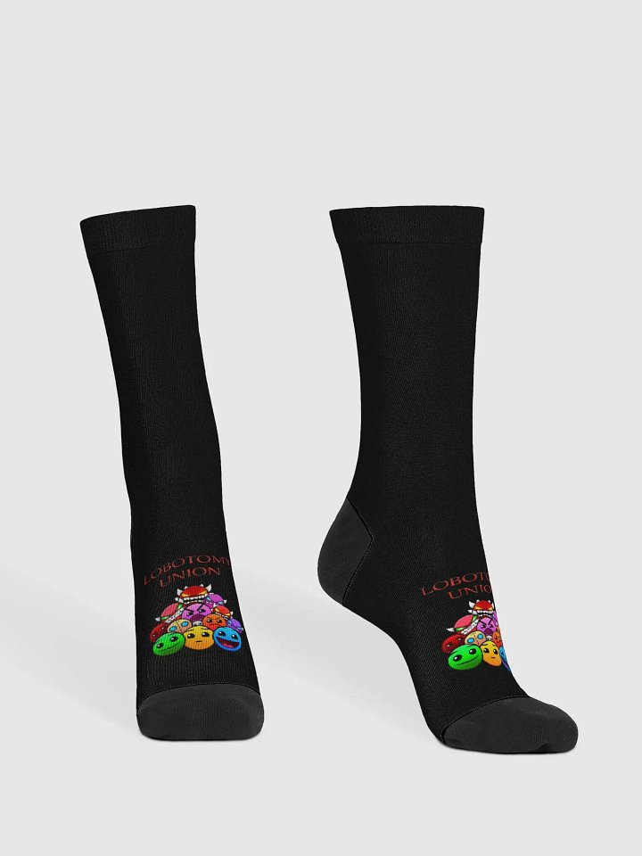 LOBOTOMY UNION SUSTAINABLE CREW SOCKS product image (2)