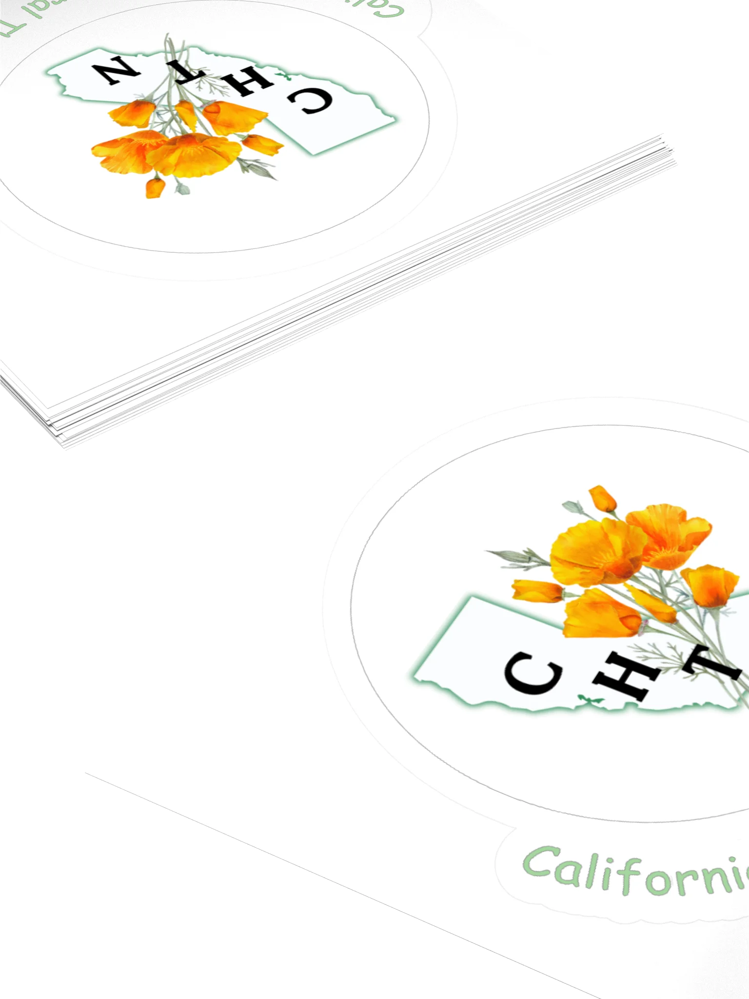 CHTN Sticker product image (12)