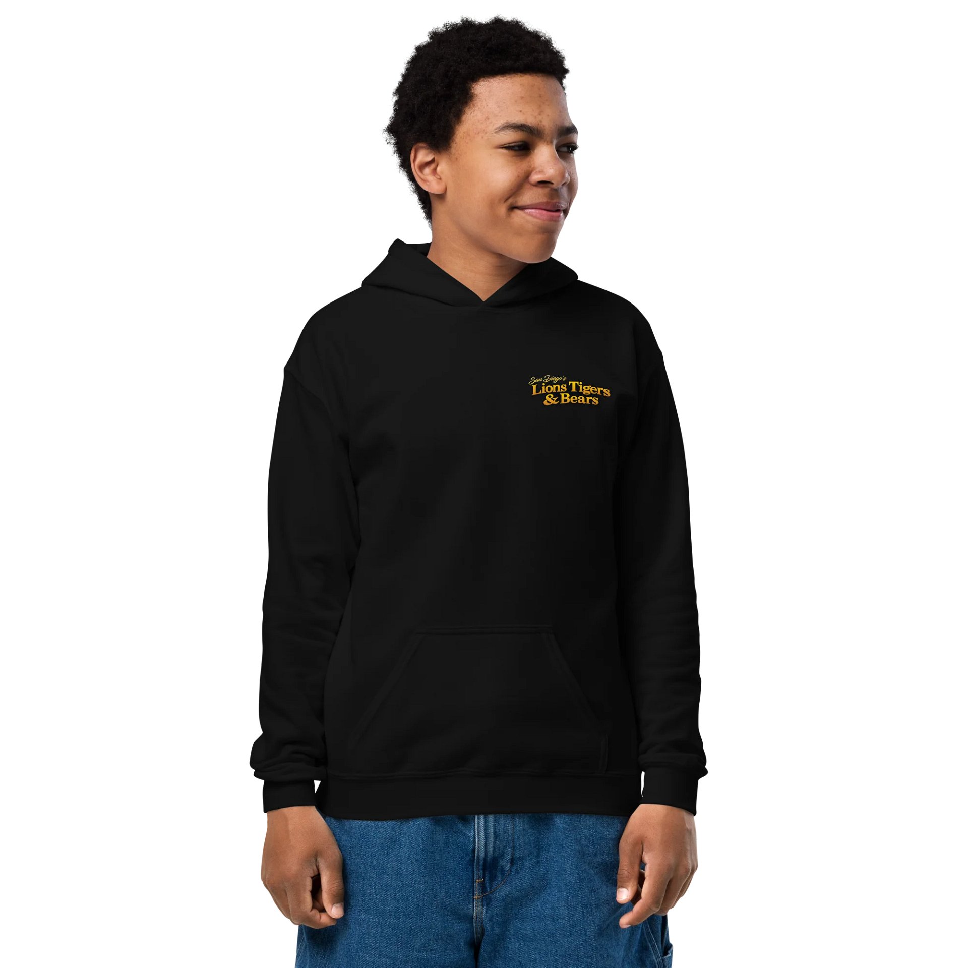 Rocky Art Youth Hoodie product image (7)