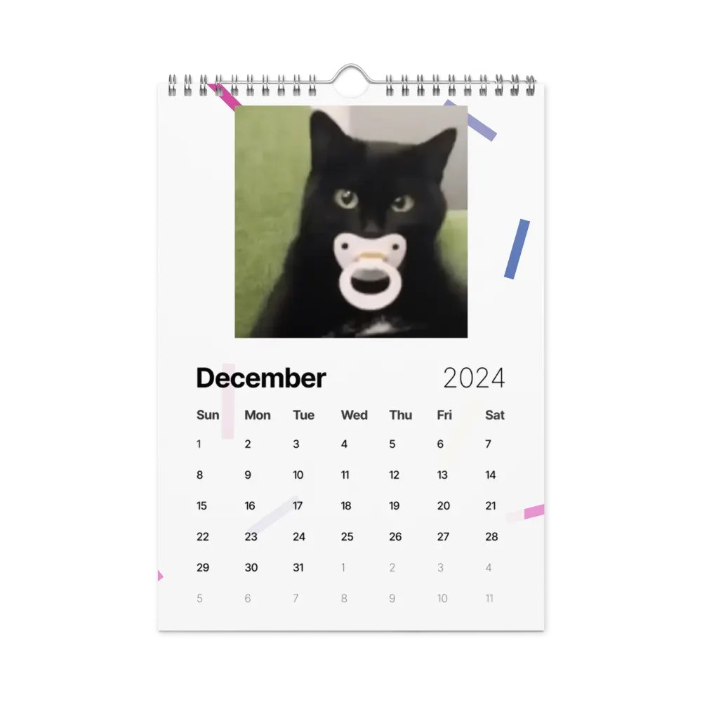 Wall Calendar (2024): Meme Cats product image (6)