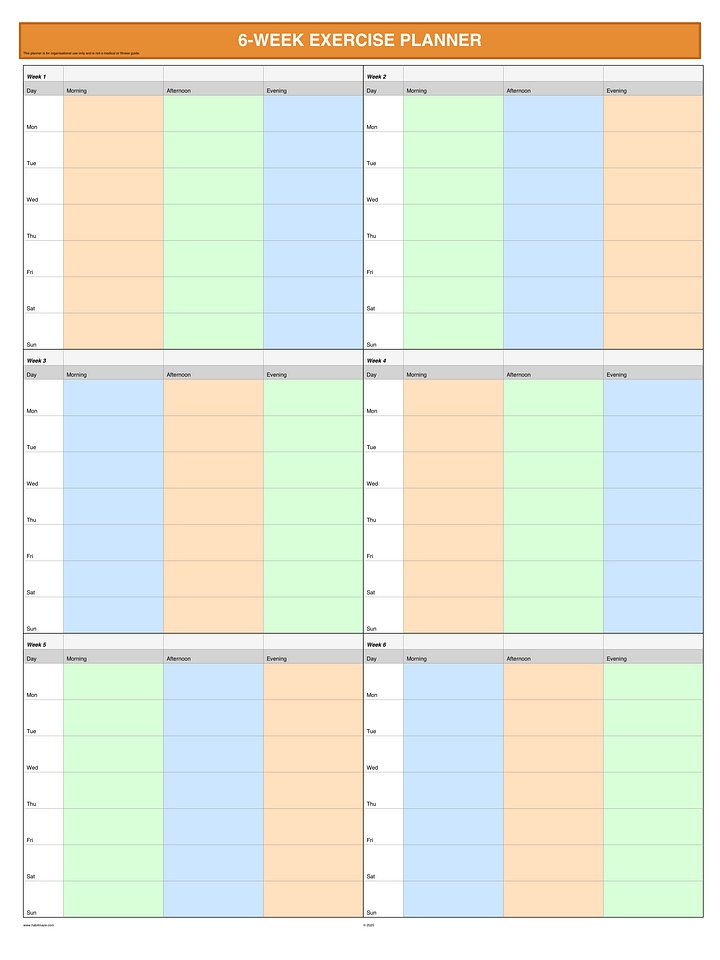 6 Week Exercise Planner product image (1)