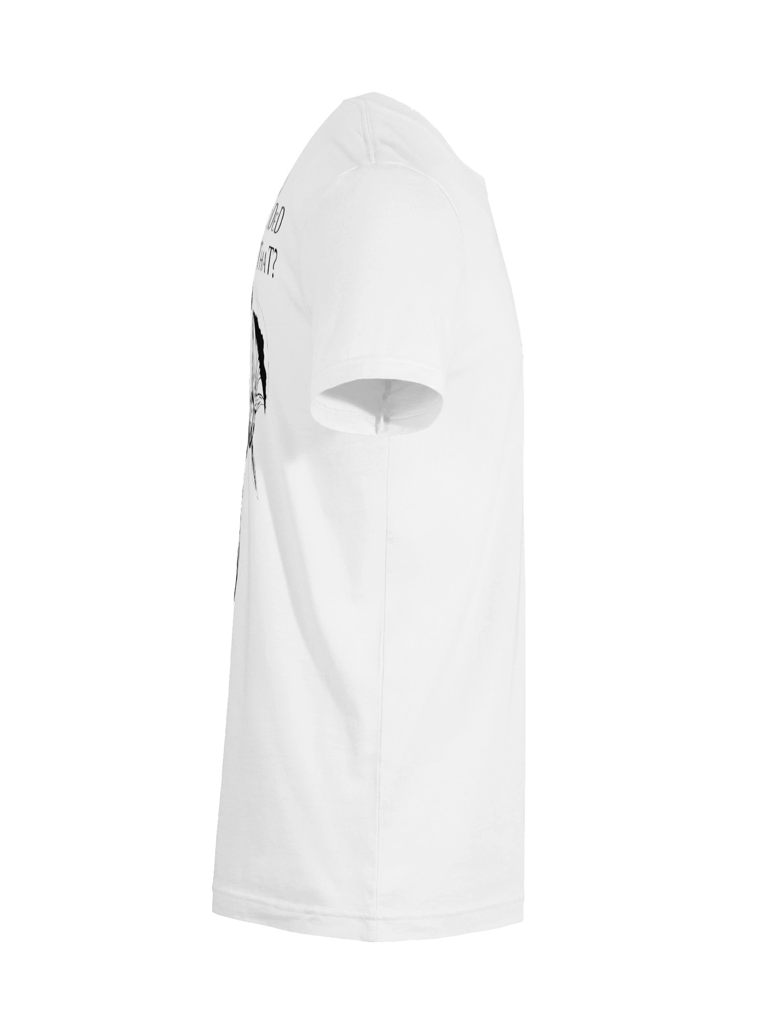 The Lion's Sin product image (10)