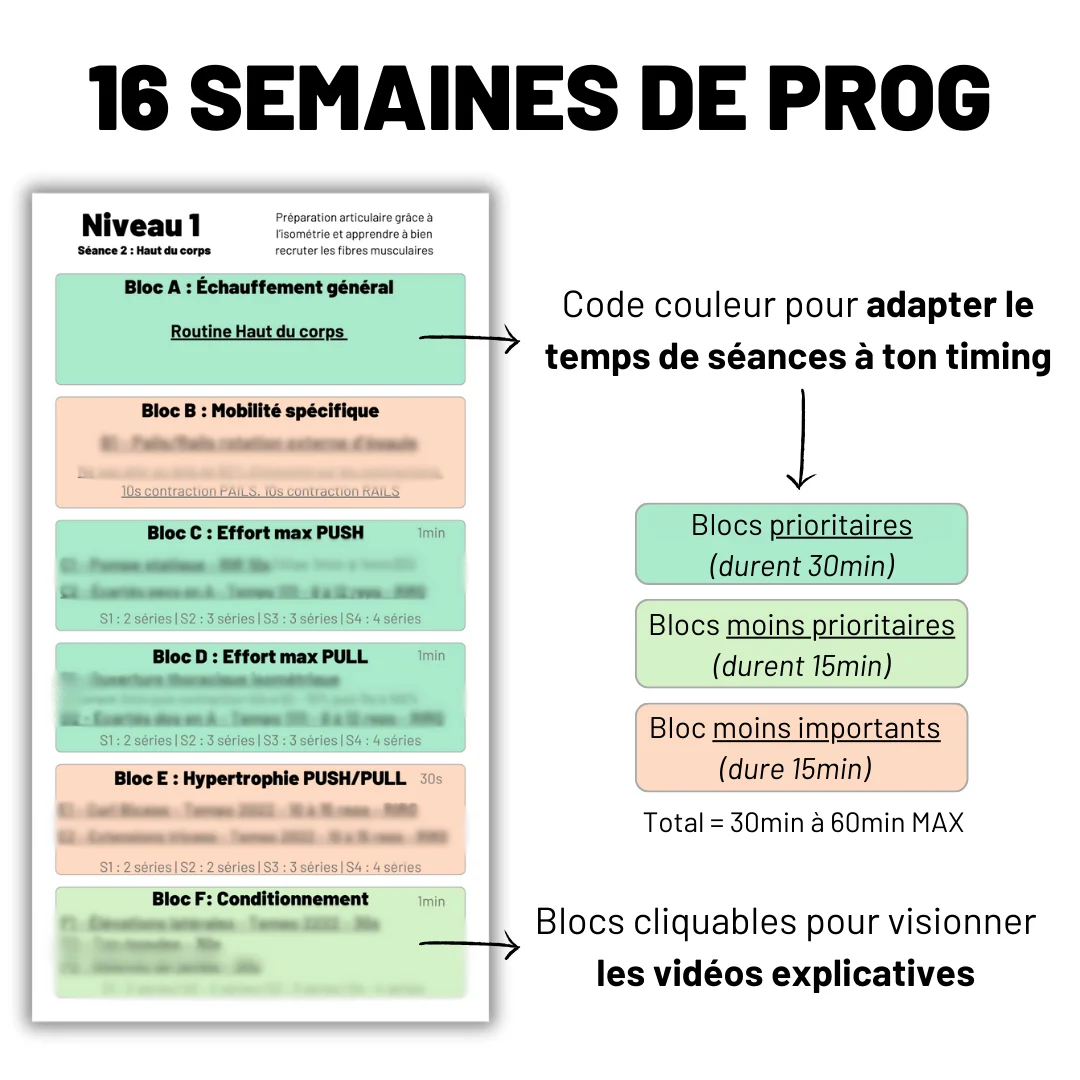[Programme] Le système Balèze aux Élastiques product image (4)