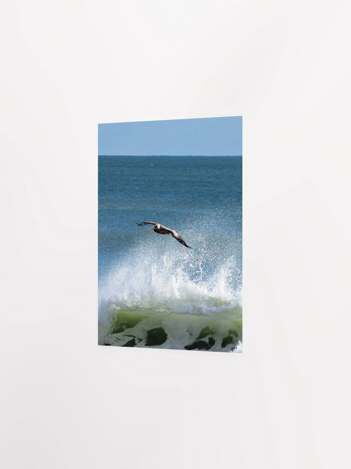 Flying Pelican product image (28)