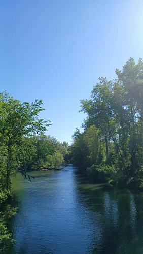 Lovely walk today

#nature #river #Dustiria