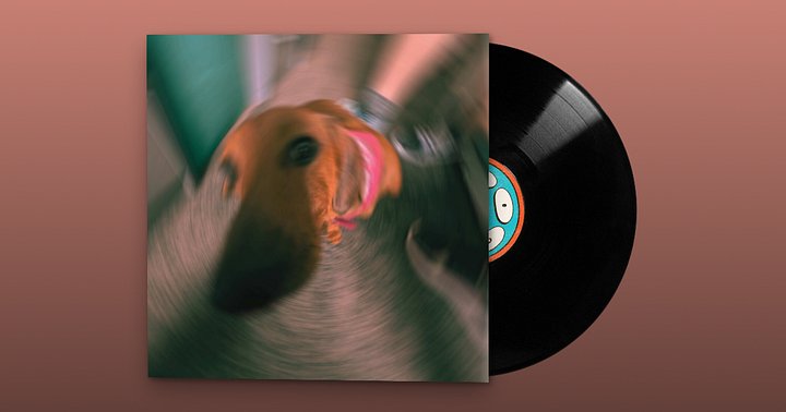 Dog Days - Vinyl & CD product image (1)