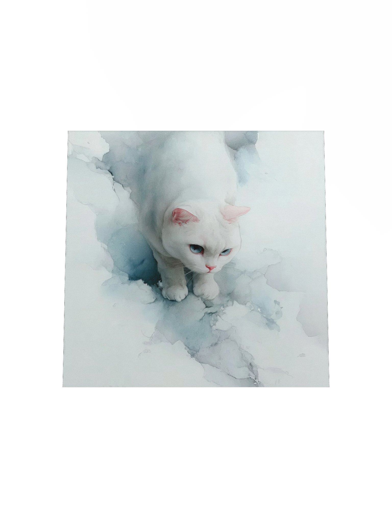 Powder Blue Blue-Eyed Cat product image (16)
