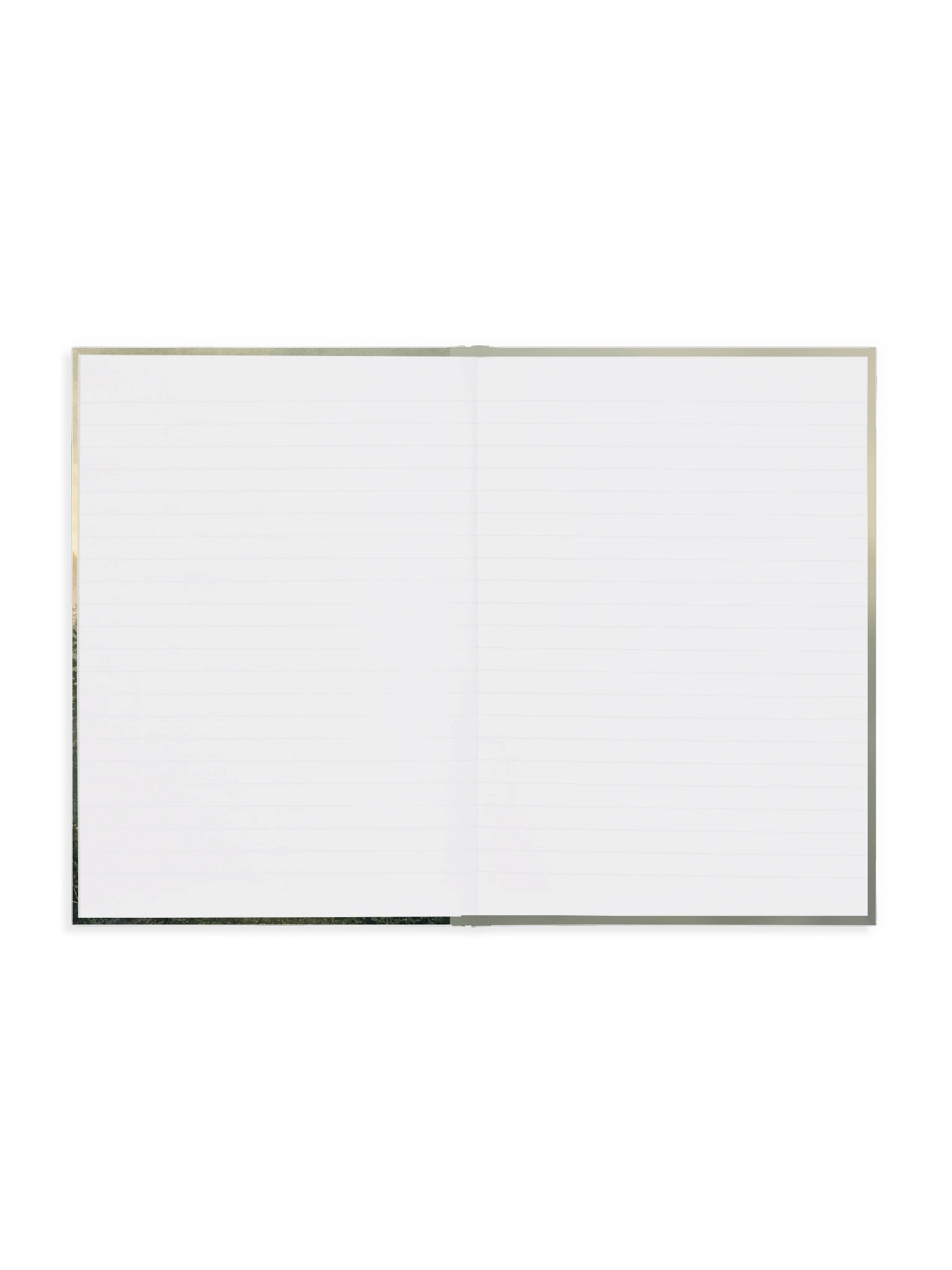 Misty Pine Forest Diary product image (4)