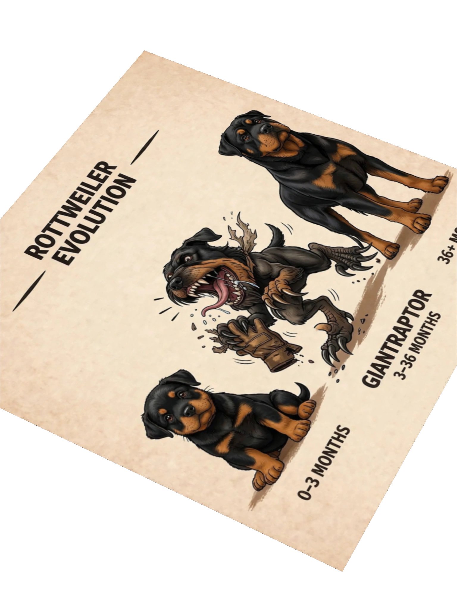 Rottweiler Evolution Sticker Set product image (7)