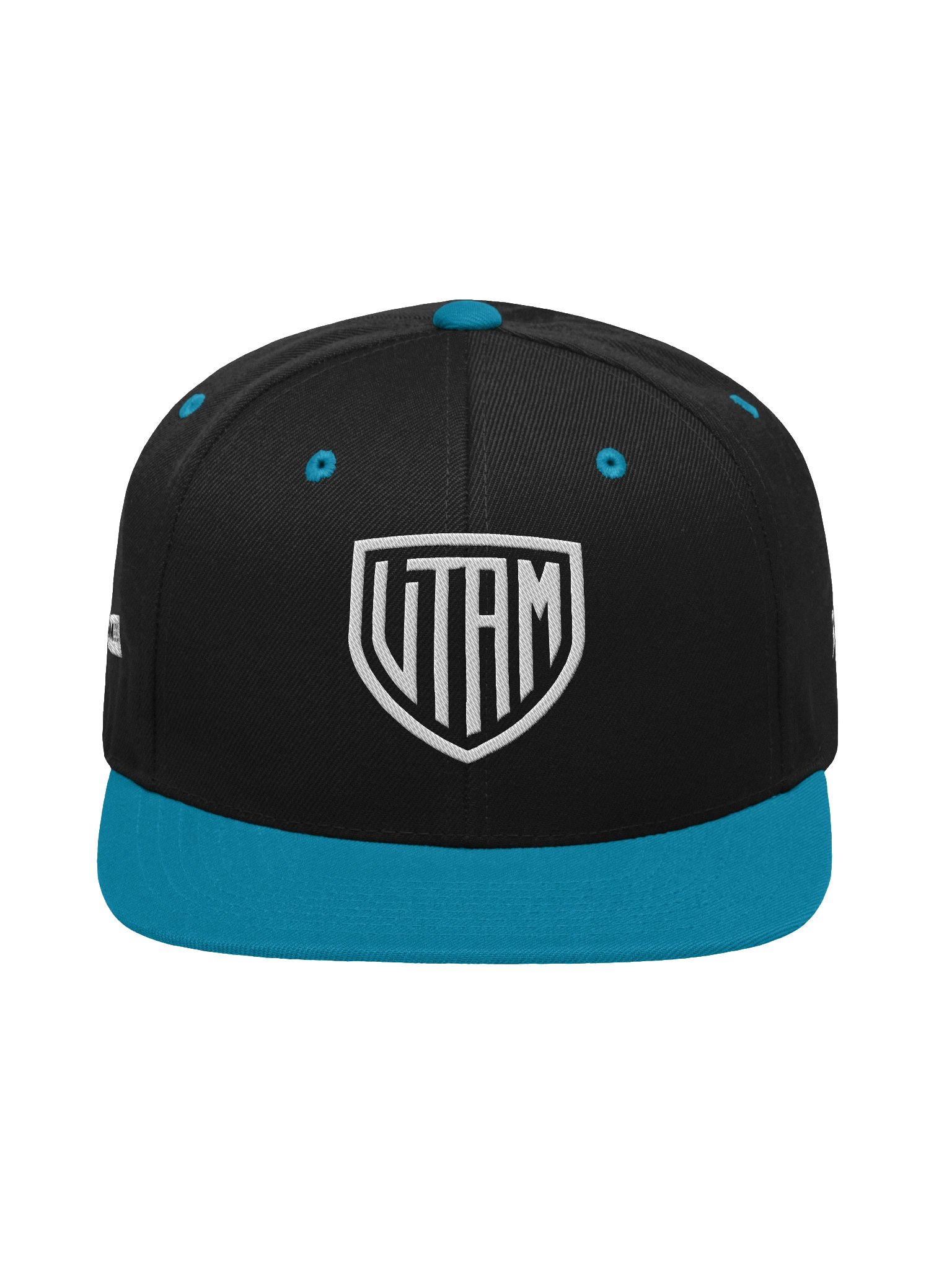 Snapback product image (2)