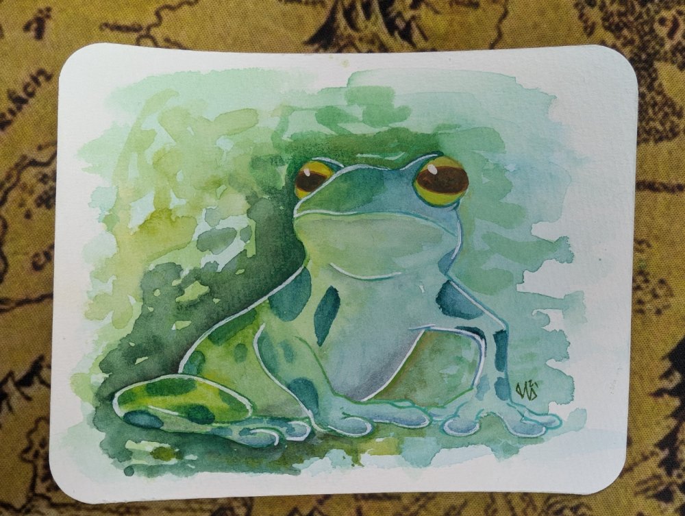 Little Green Frog product image (1)