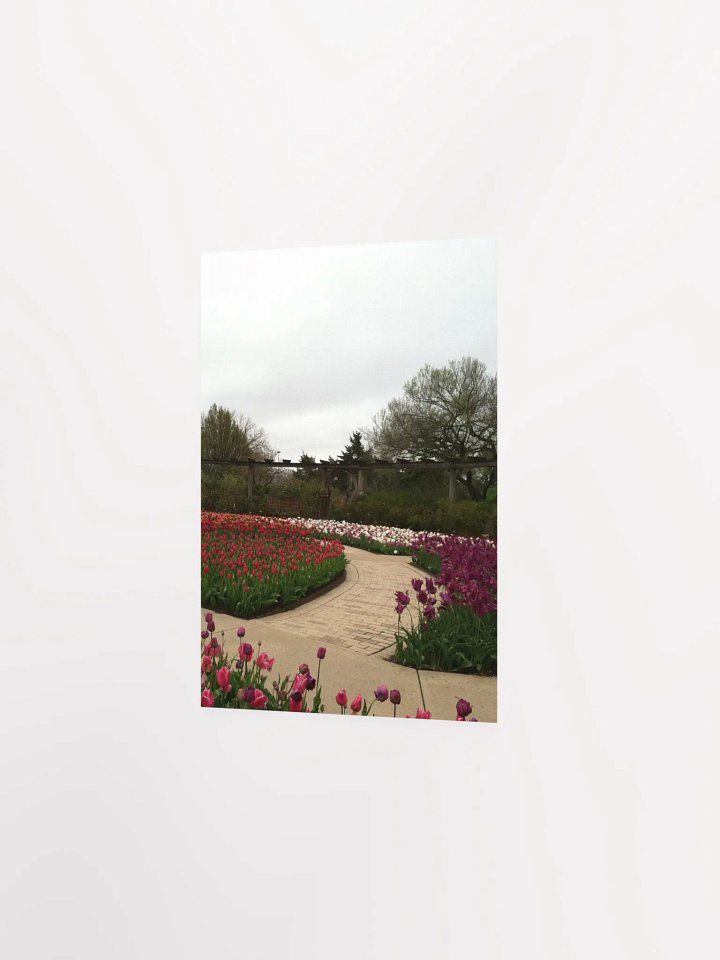 Tulip Season product image (2)